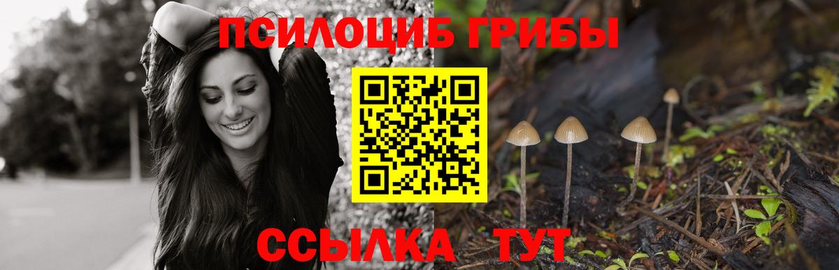 Керчь  Галлюциногенные грибы прущие грибы  закладка  Вход с VPN 